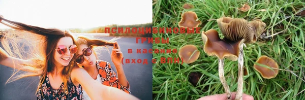 спиды Баксан