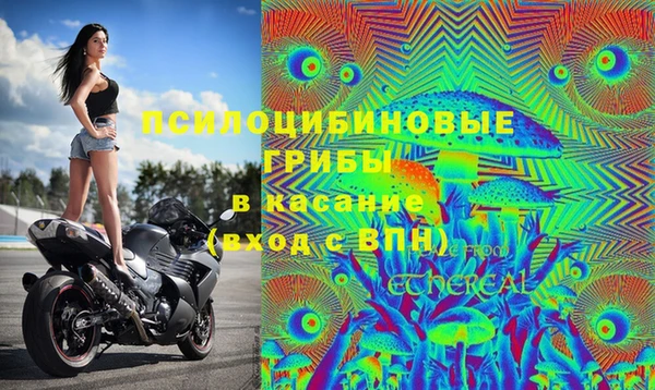 мдма Няндома